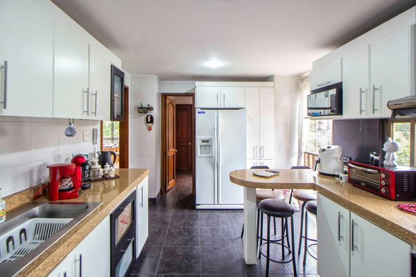 Top Strategies for Managing Slugs in Your UK Organic Garden: Effective Solutions for a Flourishing Space